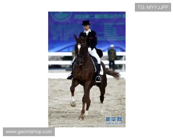 马术盛装舞步的人马合一境界